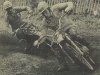 Hawkstone Park
