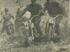 image-96-1